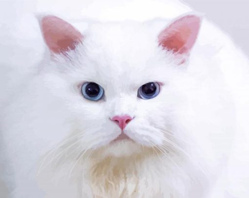 White Persian Cat paint by numbers