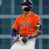 Baseball Houston Astros Player paint by numbers