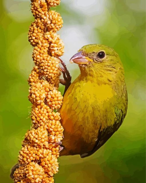 Bird On Millet paint by numbers