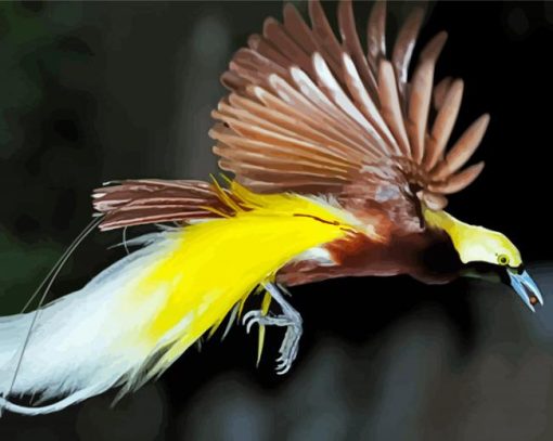 Bird's Paradise paint by numbers