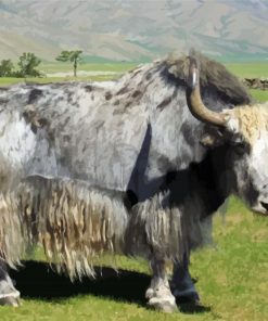 Grey Domestic Yak paint by numbers