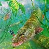 Muskie Fish Art paint by numbers