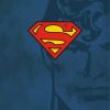 Superman Logo Art paint by numbers