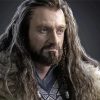 Thorin Oakenshield Character paint by numbers