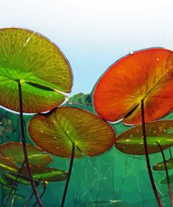 Underwater View In A Lake Of France Nymphaea Alba paint by numbers