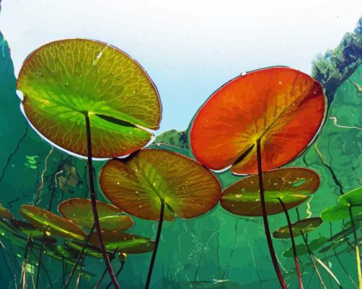 Underwater View In A Lake Of France Nymphaea Alba paint by numbers