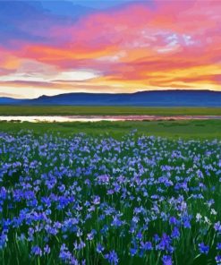 Wild Blue Iris Field paint by numbers