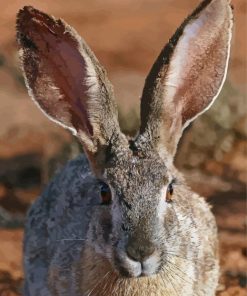 Adorable Big Eared Bunny paint by numbers