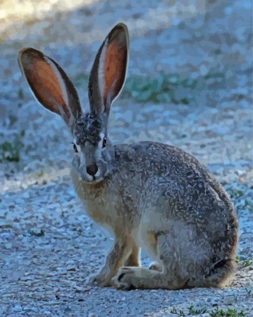 Big Eared Bunny Animal paint by numbers