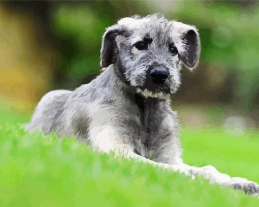 Irish Wolfhound Puppy paint by numbers