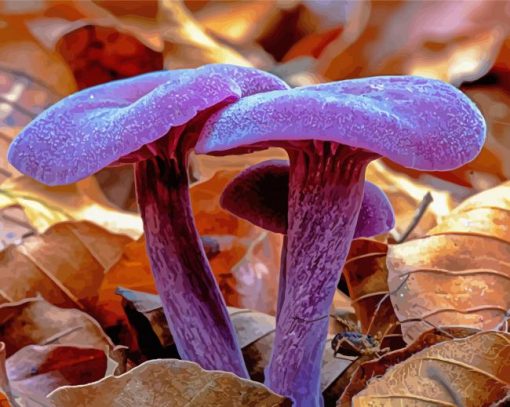 Purple Mushroom paint by numbers