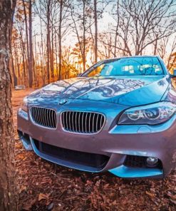 BMW 535i Sport Car paint by numbers