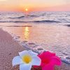 Beach Flowers At Sunset paint by number