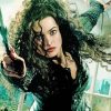 Bellatrix Lestrange Harry Potter paint by numbers