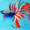 Betta Siamese Fish paint by number