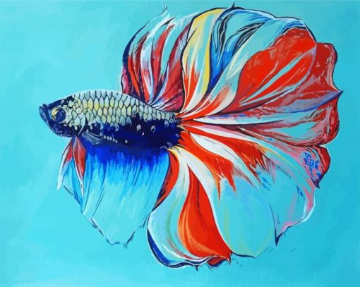 Betta Siamese Fish paint by number