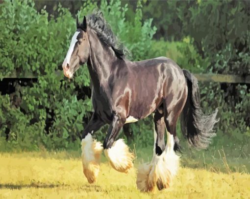 Black Shire Horse paint by number