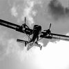 Black And White DHC 6 Twin Otter paint by numbers