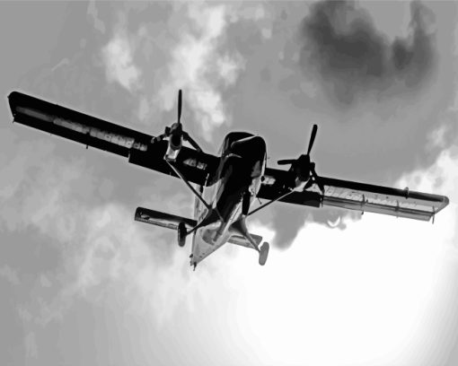 Black And White DHC 6 Twin Otter paint by numbers