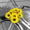 Black And White Yellow Flowers On Bike paint by number