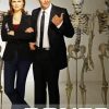 Booth And Brennan Bones Poster paint by numbers