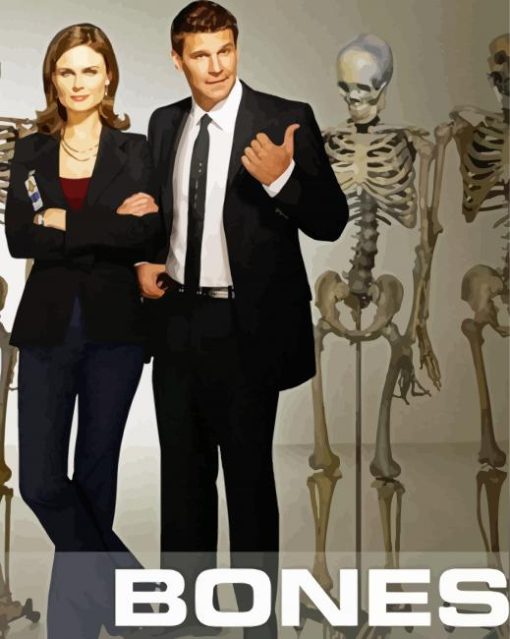 Booth And Brennan Bones Poster paint by numbers