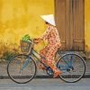 Chinese Woman On Bike paint by numbers