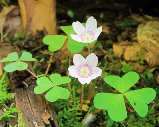 Clover Plants paint by numbers