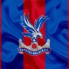 Crystal Palace FC Logo paint by numbers