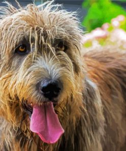 Cute Irish Wolfhound paint by numbers