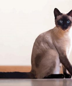 Cute Siamese Cat paint by number