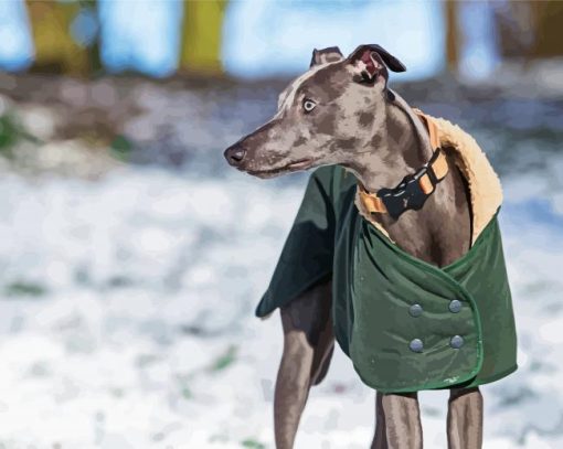 Cute Whippet Dog paint by numbers