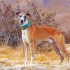 Cute Whippet paint by numbers