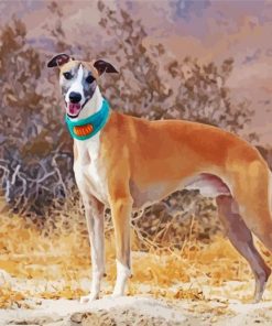 Cute Whippet paint by numbers