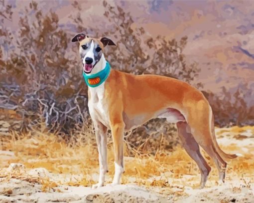 Cute Whippet paint by numbers