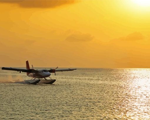 DHC 6 Twin Otter paint by numbers