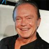 David Cassidy Actor paint by number