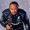 Driver Lewis Hamilton paint by numbers