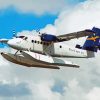 Flying DHC 6 Twin Otter Plane paint by numbers