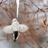 Flying Long Tailed Tit paint by number