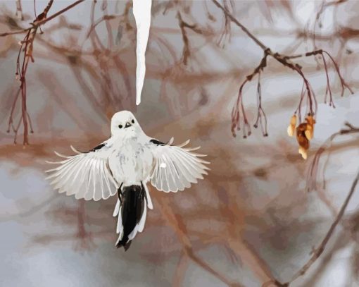 Flying Long Tailed Tit paint by number