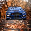 Ford Shelby GT350R Car paint by numbers