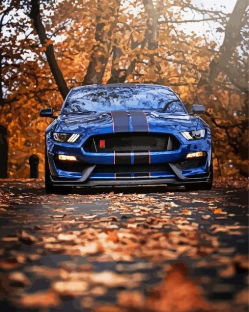 Ford Shelby GT350R Car paint by numbers