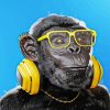 Funny Monkey With Headphones paint by numbers