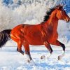 Galloping Horse In Snow paint by number