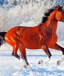 Galloping Horse In Snow paint by number