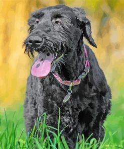 Giant Schnauzer Dog paint by numbers