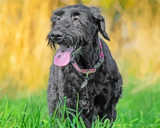 Giant Schnauzer Dog paint by numbers