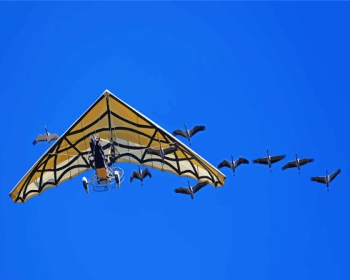 Glider And Birds paint by numbers