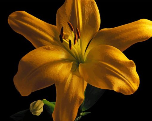 Gold Lily Flower paint by number